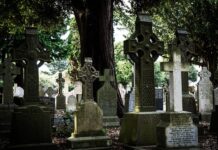 Czym Zasłonić zamiast drzwi? Czym Zasłonić zamiast drzwi?