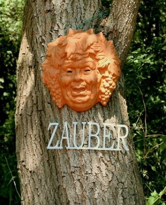 Czy spirytus zabija bakterie? Czy spirytus zabija bakterie?
