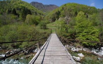 Ile kosztuje skrócenie paska?