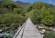 Ile kosztuje skrócenie paska w zegarku?