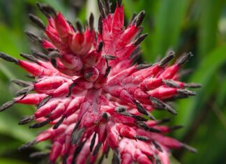 Co daje wazelina pod oczy?